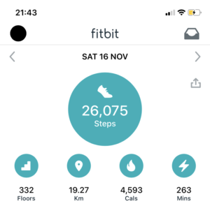 Fitbit Statistics  from Climbing Mount Snowdon